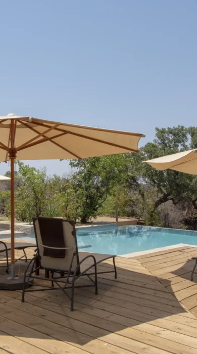mashatu lodge pool decking botswana yellow zebra safaris