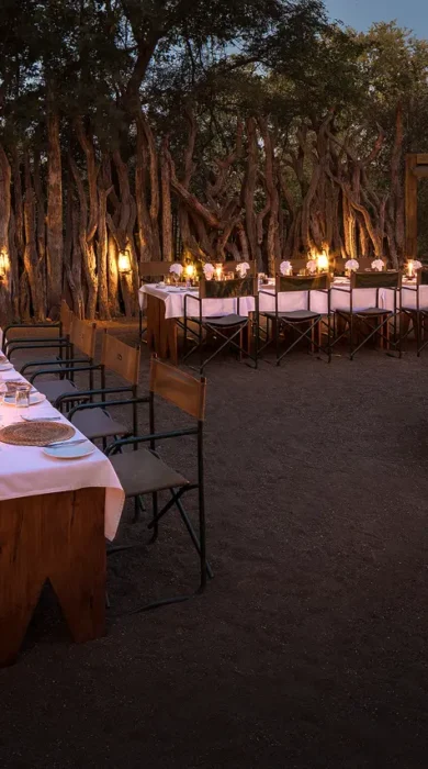 mashatu lodge night dining botswana yellow zebra safaris