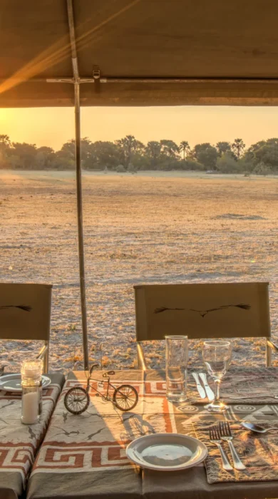 letaka safaris dining sunset botswana yellow zebra safaris