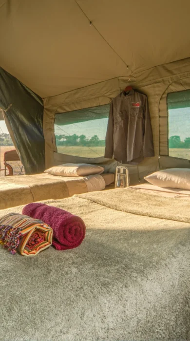 letaka safaris twin room botswana yellow zebra safaris
