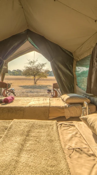 letaka safaris ctwin beds botswana yellow zebra safaris