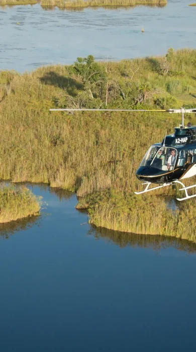 ActivitiesHelicopterDelta