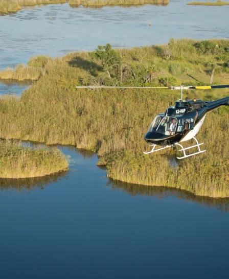 ActivitiesHelicopterDelta