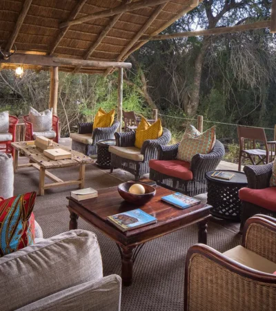 mashatu tent camp lounge botswana yellow zebra safaris