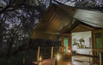 mashatu tent camp night exterior botswana yellow zebra safaris