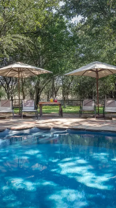 mashatu tent camp pool botswana yellow zebra safaris