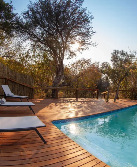 Swimming pool, Kwando Splash Camp, Botswana