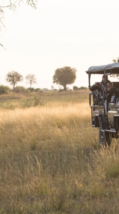 Duba Explorers Camp game drives