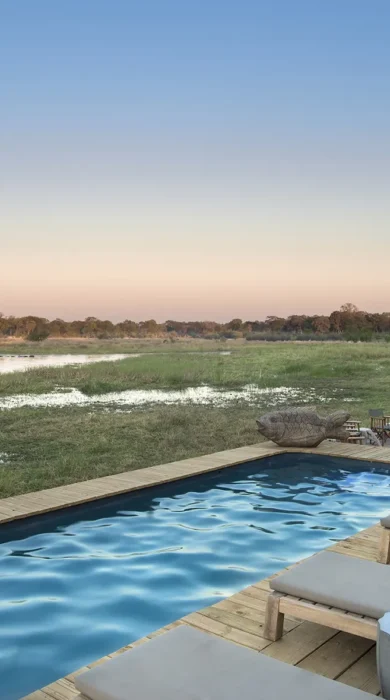 Safari pool