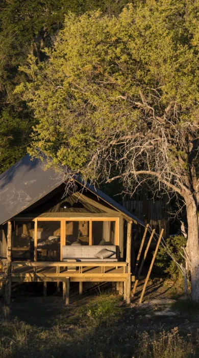 safari tent aerial view