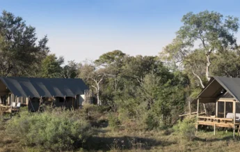 Sable Alley Tents