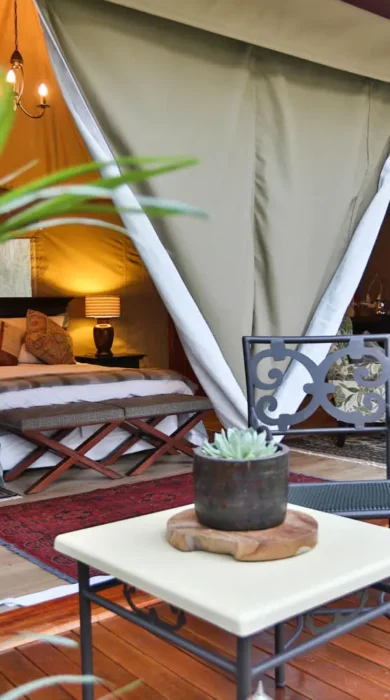 Safari camp room