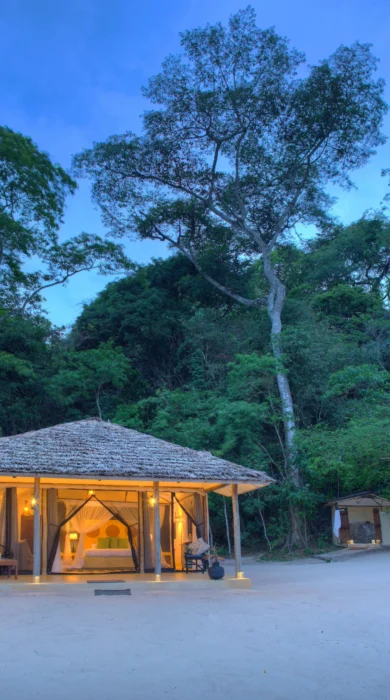 Rubondo Island exterior tanzania yellow zebra safaris