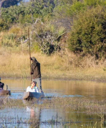 Botswana river safari