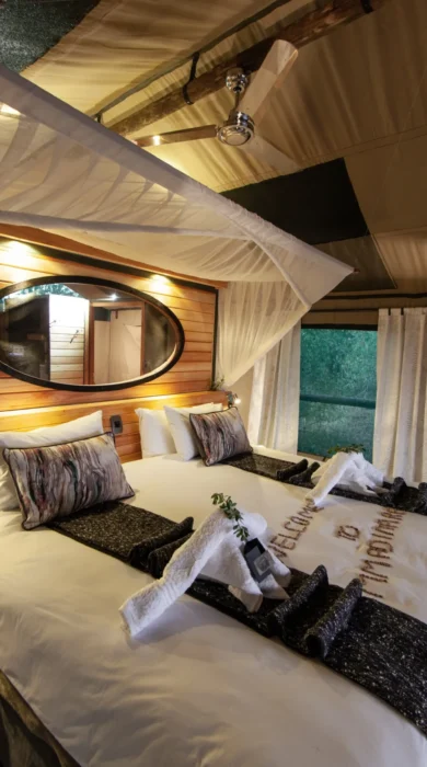 mma dinare twin bedroom botswana yellow zebra safaris