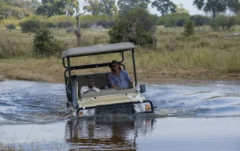 Botswana game drive