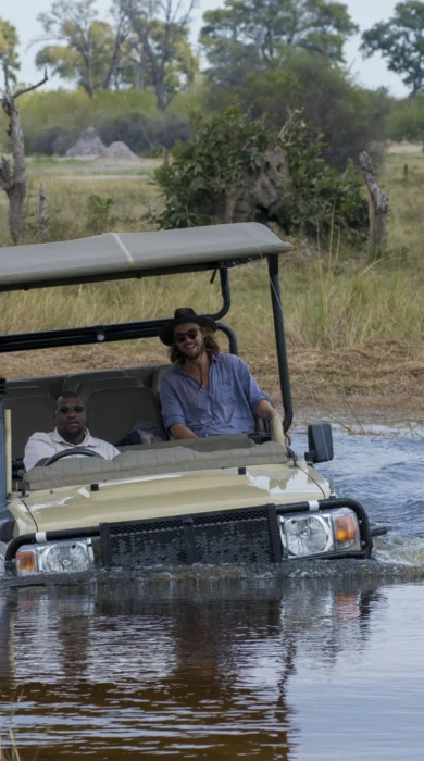 Botswana game drive