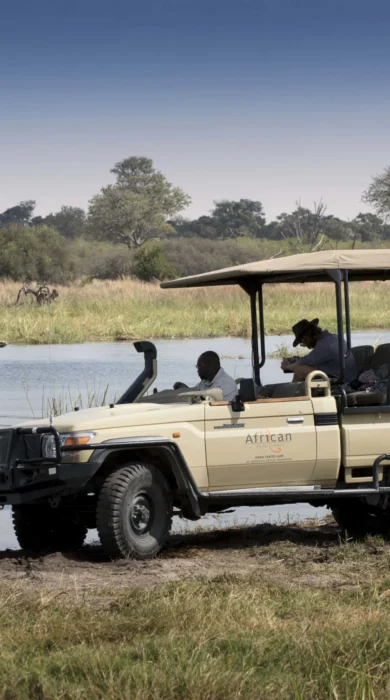 Botswana game drive elephants