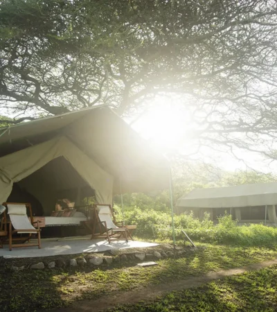 Tent, Esirai Camp, Serengeri NP, Tanzania