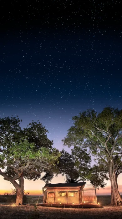 linyanti expeditions african bush camps botswana dook
