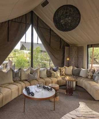 Gomoti private lounge botswana yellow zebra safaris