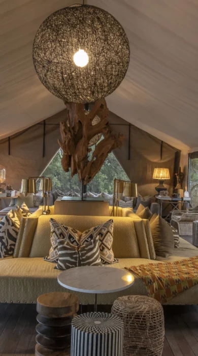 Gomoti private main area botswana yellow zebra safaris