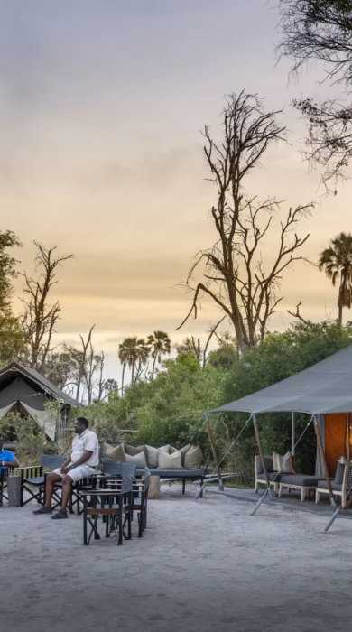 Gomoti private outside botswana yellow zebra safaris