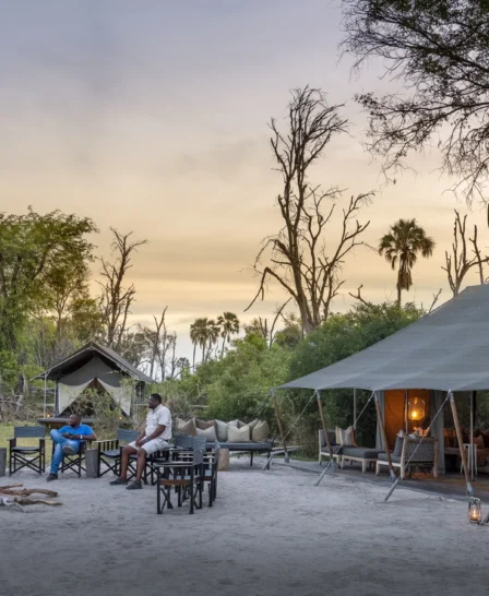 Gomoti private outside botswana yellow zebra safaris