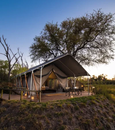 little machaba tent view botswana yellow zebra safaris