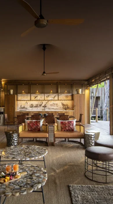 Main area at Little DumaTau, Botswana