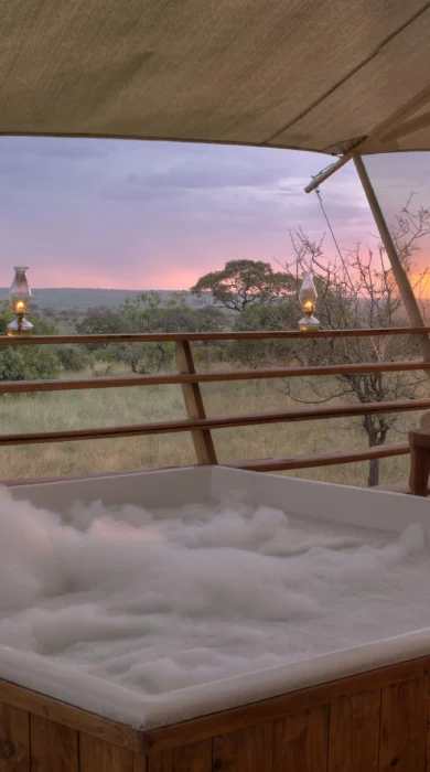 sunset jacuzzi serengeti bushtops game drive tanzania yellow zebra safaris
