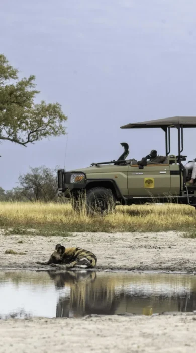 Game Drive, Kiri Camp, Okavango Delta, Botswana
