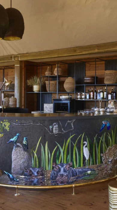 bar, tuludi camp, khwai private reserve, botswana