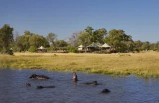 game, tuludi camp, khwai private reserve, botswana