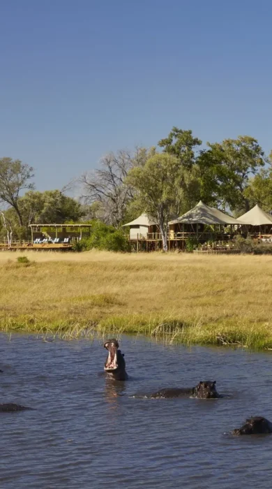 game, tuludi camp, khwai private reserve, botswana