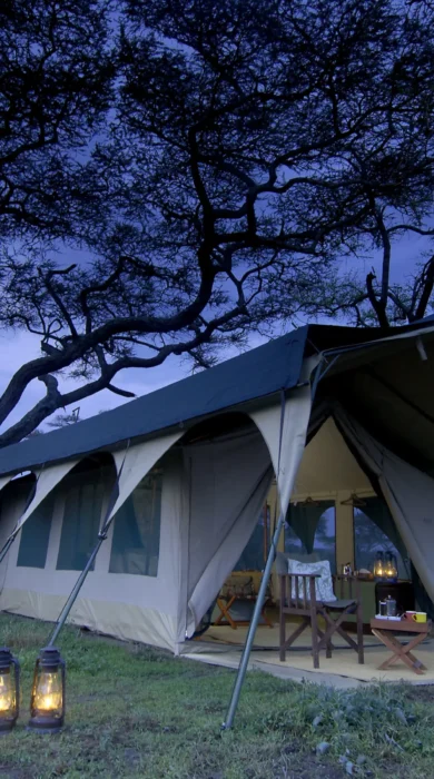 Kirurumu Serengeti tent