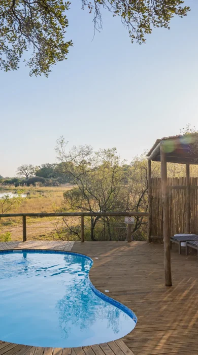 pool area, 4 rivers, okavango delta, botswana