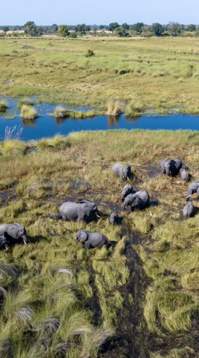 Boating, Duke's East Camp, Okavango Delta, Botswana