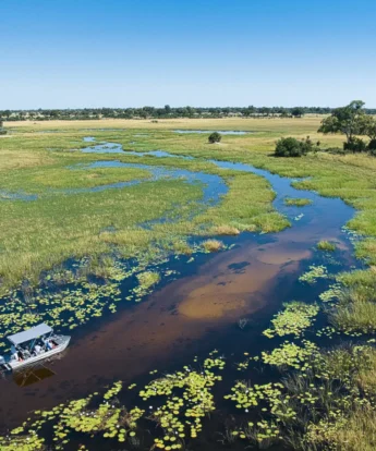 Boating, Karangoma, Okavango Delta, Botswana