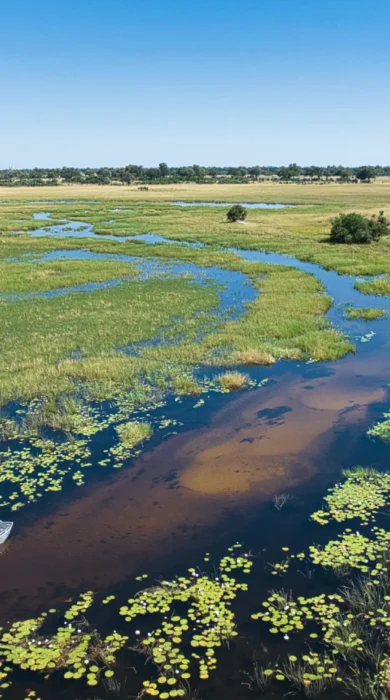 Boating, Karangoma, Okavango Delta, Botswana