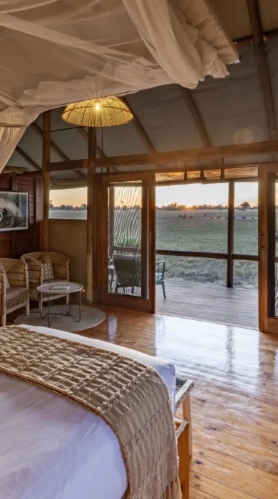 Twin Room View, Mokolwane, Okavangao Delta, Botswana