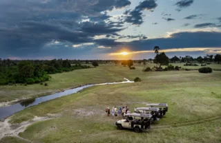 Game Drive, Tawana, Moremi Game Reserve, Botswana