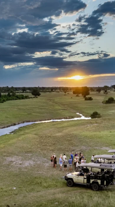 Game Drive, Tawana, Moremi Game Reserve, Botswana