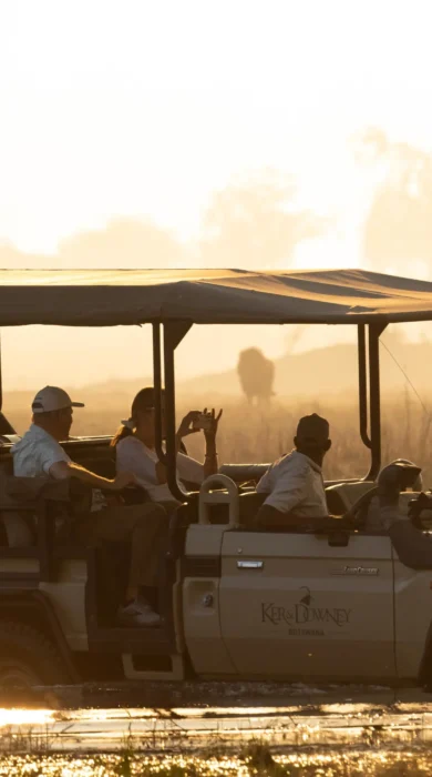 Game Drive, Maxa, Okavango Delta, Botswana