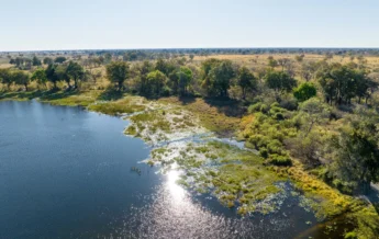 Aerial, Maxa, Okavango Delta, Botswana