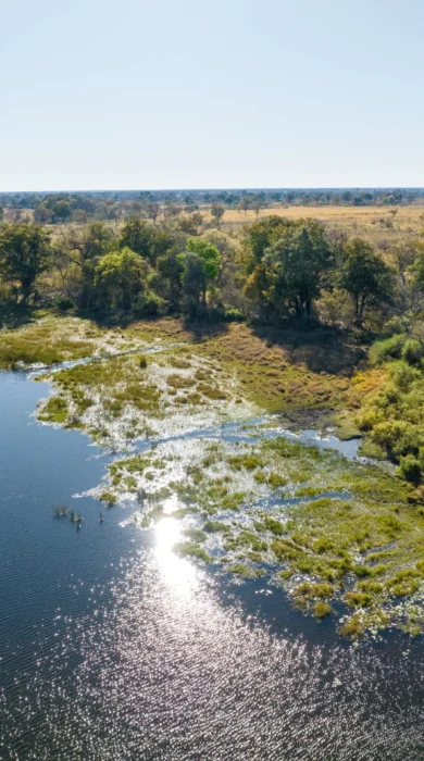 Aerial, Maxa, Okavango Delta, Botswana