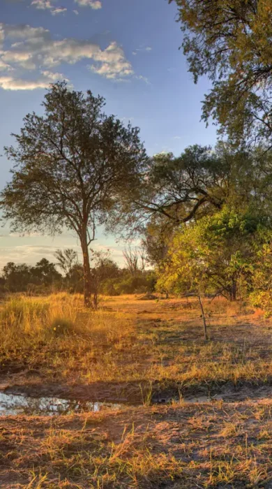 game drive stop, khwai, botswana safaris, africa