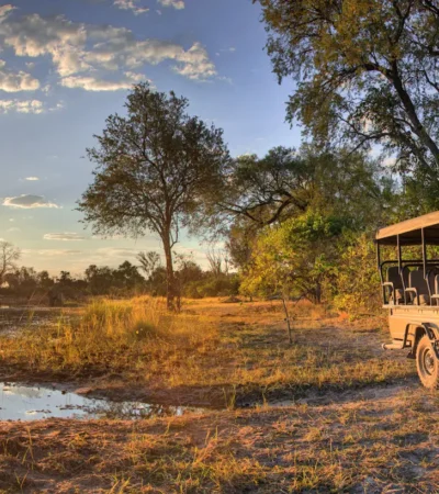game drive stop, khwai, botswana safaris, africa