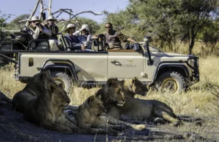 game drive safaris, moremi game reserve, africa holidays