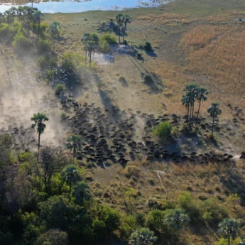 park view, the linyanti, botswana safari vacations
